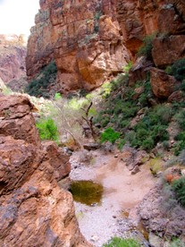 A_pool_of_water,_a_remnant_of_the_last_rains,_in_a_dry_wash_in_Tonto_National_Forest.jpg By Janet Ward, NOAA (http://www.photolib.noaa.gov/bigs/amer0012.jpg) [Public domain], via Wikimedia Commons